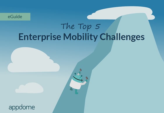 eguide_top_5_enterprise_challenges.png